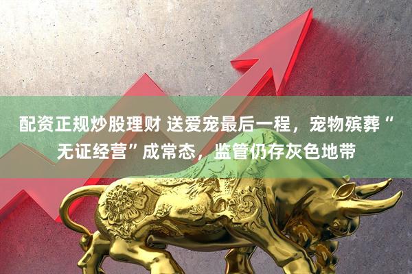配资正规炒股理财 送爱宠最后一程，宠物殡葬“无证经营”成常态，监管仍存灰色地带
