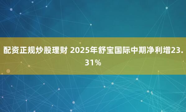 配资正规炒股理财 2025年舒宝国际中期净利增23.31%